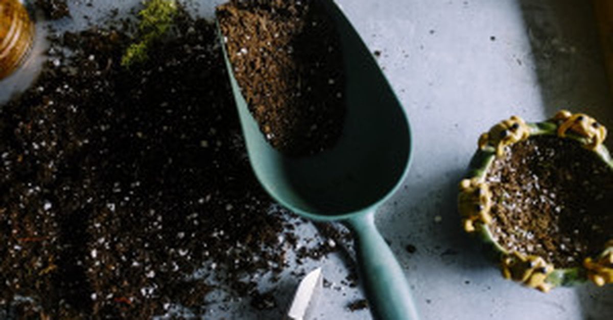 Melirik “Urban Farming” Sebagai Peluang Bisnis Baru Agritech